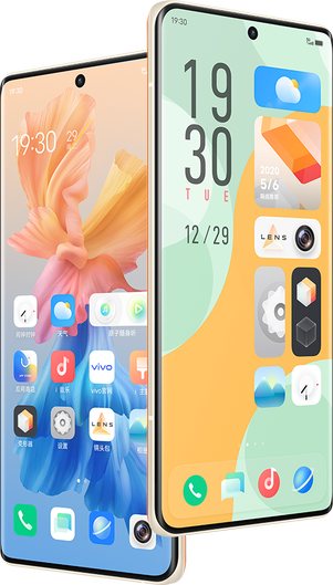 BBK Vivo X60 Pro+ 5G Standard Edition Dual SIM TD-LTE CN 128GB V2056A